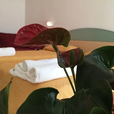 Hotel Medusa 3*