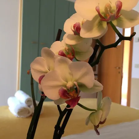 Medusa Hotel 3*