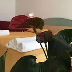 Hotel Medusa 3*