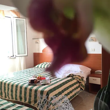 Medusa 미사노아드리아티코