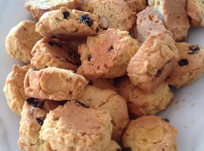 Medusa ميسانو ادرياتيكو